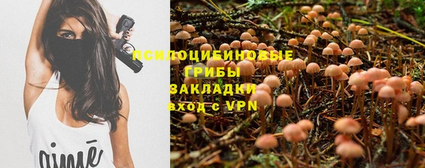 молекула духа Аркадак