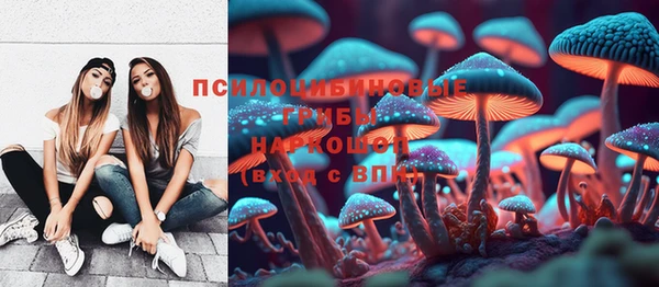 тгк Армянск