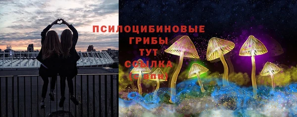 молекула духа Аркадак