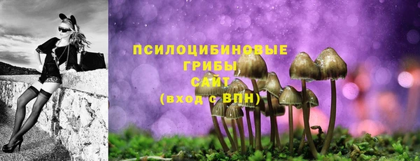 молекула духа Аркадак